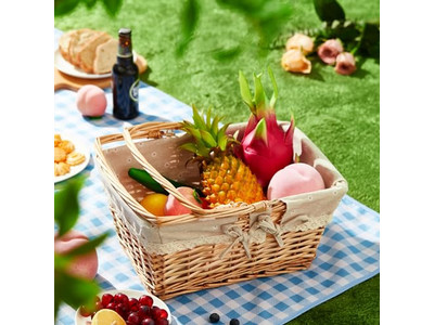 Mini-Picknickkörbe mit Griffen, hochbewerteter Korb, Stoff, faltbar, Kunststoff